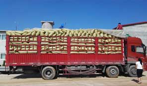 專業物流運輸，保障發貨快速順暢